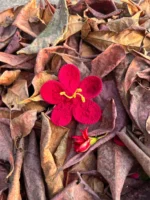Hibiscus Flower Hair Clip - Image 3